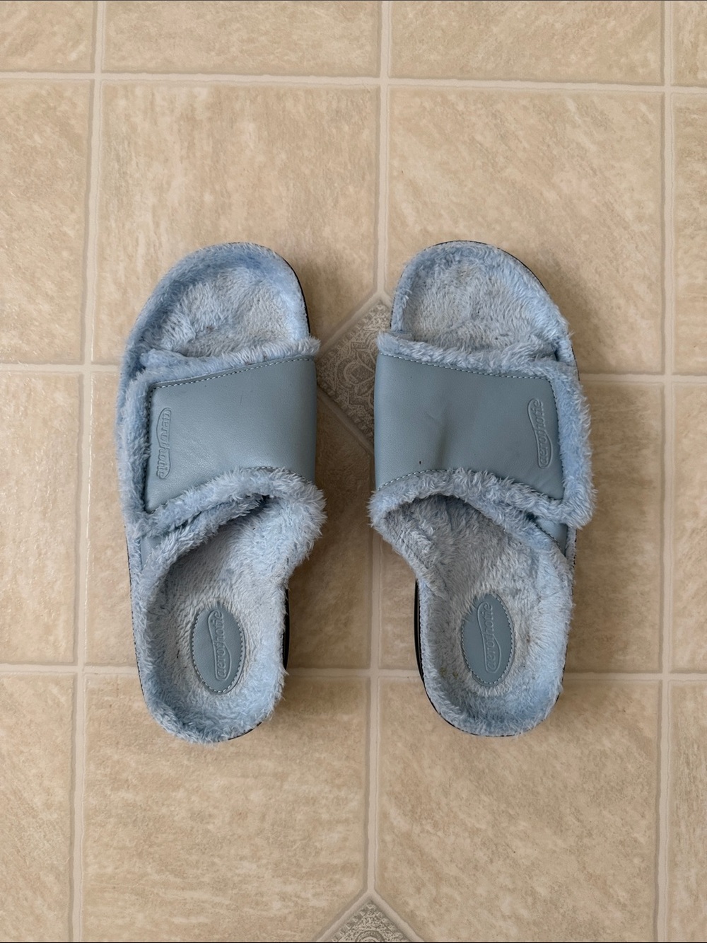 Aerothotic Fuzzy Slides